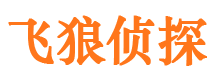 阳高市侦探公司